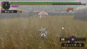 ババコンガ複数.jpg