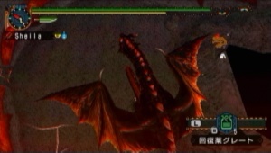 逃がしたその2.jpg