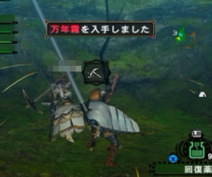 万年霜.jpg
