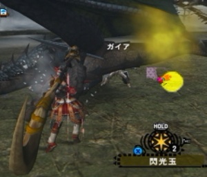 亜種から.jpg